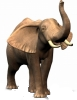 elefant01.png