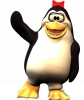 pinguin01.png