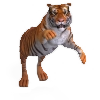 tiger.png