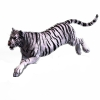 tiger_white.png